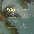PRE-ORDER: Second Chance Dry Shampoo